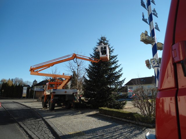 Christbaum 2011
